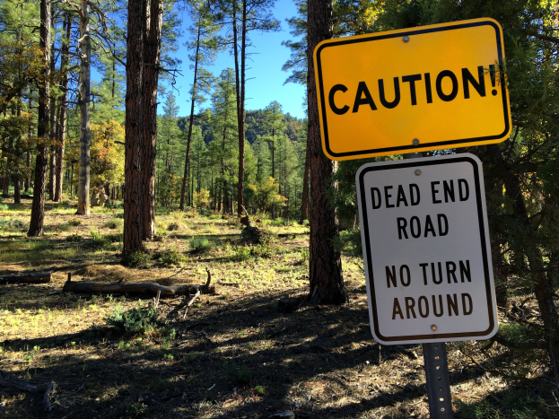Warnschild in einem Wald mit der Aufschrift "Sackgasse - Keine Wende" mit Bäumen und klarem Himmel im Hintergrund.