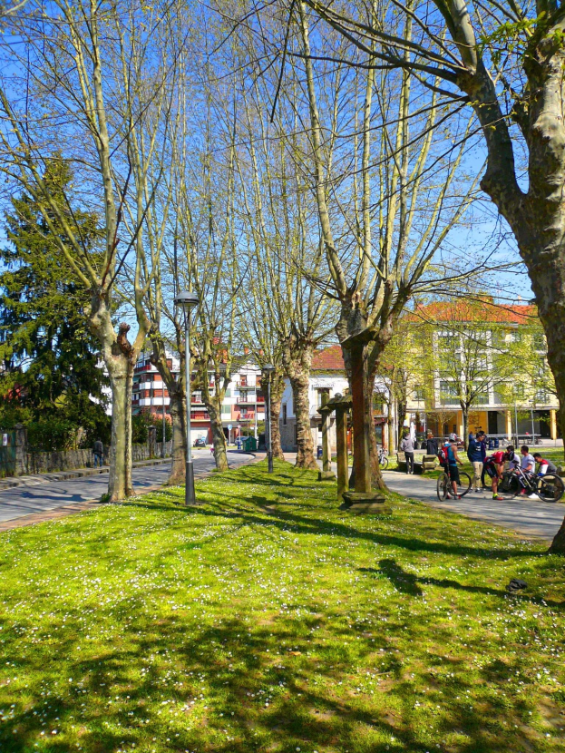 Ein Park mit grünem Gras und Bäumen, Menschen, die zu Fuß gehen und Fahrräder fahren, mit Gebäuden und einem klaren blauen Himmel im Hintergrund.