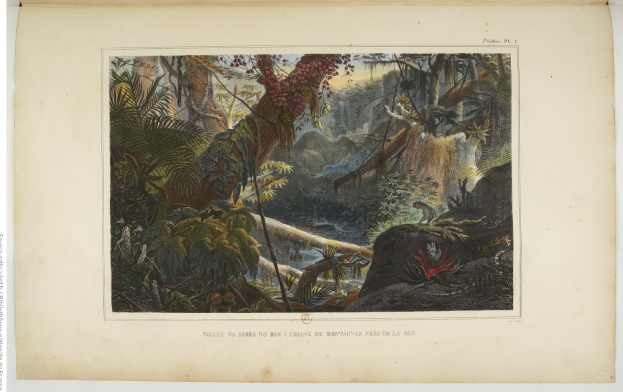 Ein aufgeschlagenes Buch mit einer Malerei eines üppigen Dschungels mit Bäumen, Pflanzen, Felsen und einem Wasserfall, mit Text unten.