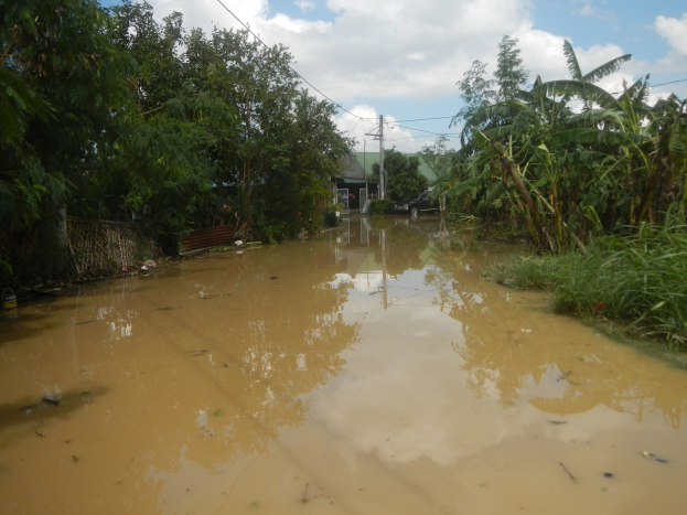 Überschwemmte Landstraße mit Wasser auf der Straße, Pflanzen und Bäumen auf beiden Seiten, einem geparkten Auto auf der rechten Seite und beschädigten Häusern, Polen und Drähten im Hintergrund unter einem bewölkten Himmel.