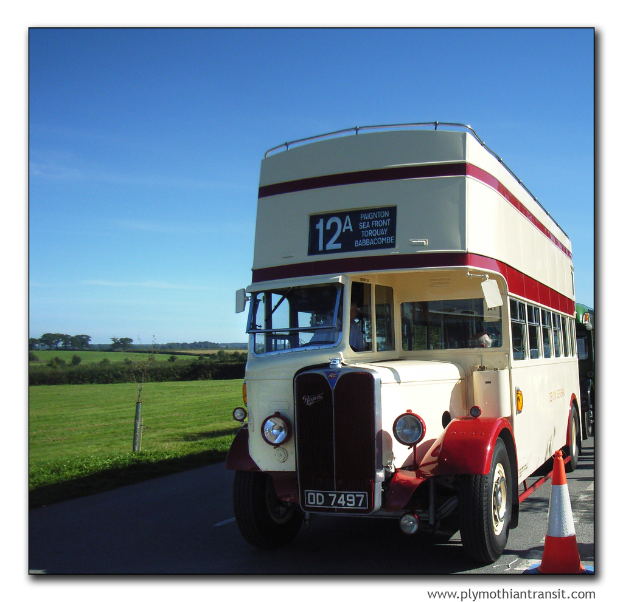 Eine Person in einem Fahrzeug auf einer Straße mit Bäumen, Gras und Himmel links, einem Verkehrskegel und Wasserzeichen in der rechten unteren Ecke.