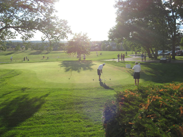 Ein Mann mit einem Golfschläger auf einem grünen Feld mit Bäumen und Büschen, mit parkenden Autos und Häusern im Hintergrund.