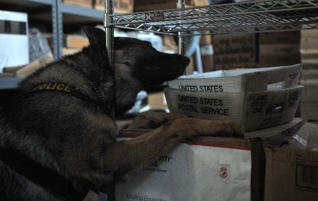 Ein schwarzer und brauner Polizeihund liegt auf einem Stapel Kisten in einem Lagerhaus, mit mehreren Kartonboxen in den umliegenden Regalen sichtbar.
