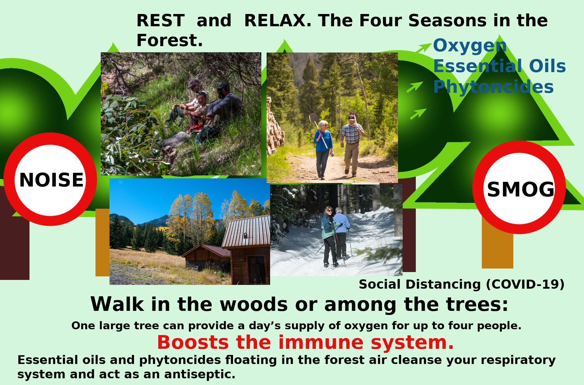 Plakat, das Entspannung und Erholung in einer Waldumgebung bewirbt, mit Bildern von Menschen, die zwischen Bäumen und einem Haus spazieren gehen, und dem Text "Entspannen und Erholen die vier Jahreszeiten im Wald."