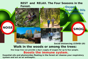 Plakat, das Entspannung und Erholung in einer Waldumgebung bewirbt, mit Bildern von Menschen, die zwischen Bäumen und einem Haus spazieren gehen, und dem Text "Entspannen und Erholen die vier Jahreszeiten im Wald."