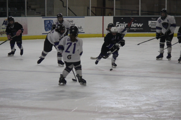 Eine Gruppe von Menschen hält Stöcke und spielt Hockey auf einem Boden mit Brettern, einer Stange und einer Wand im Hintergrund.