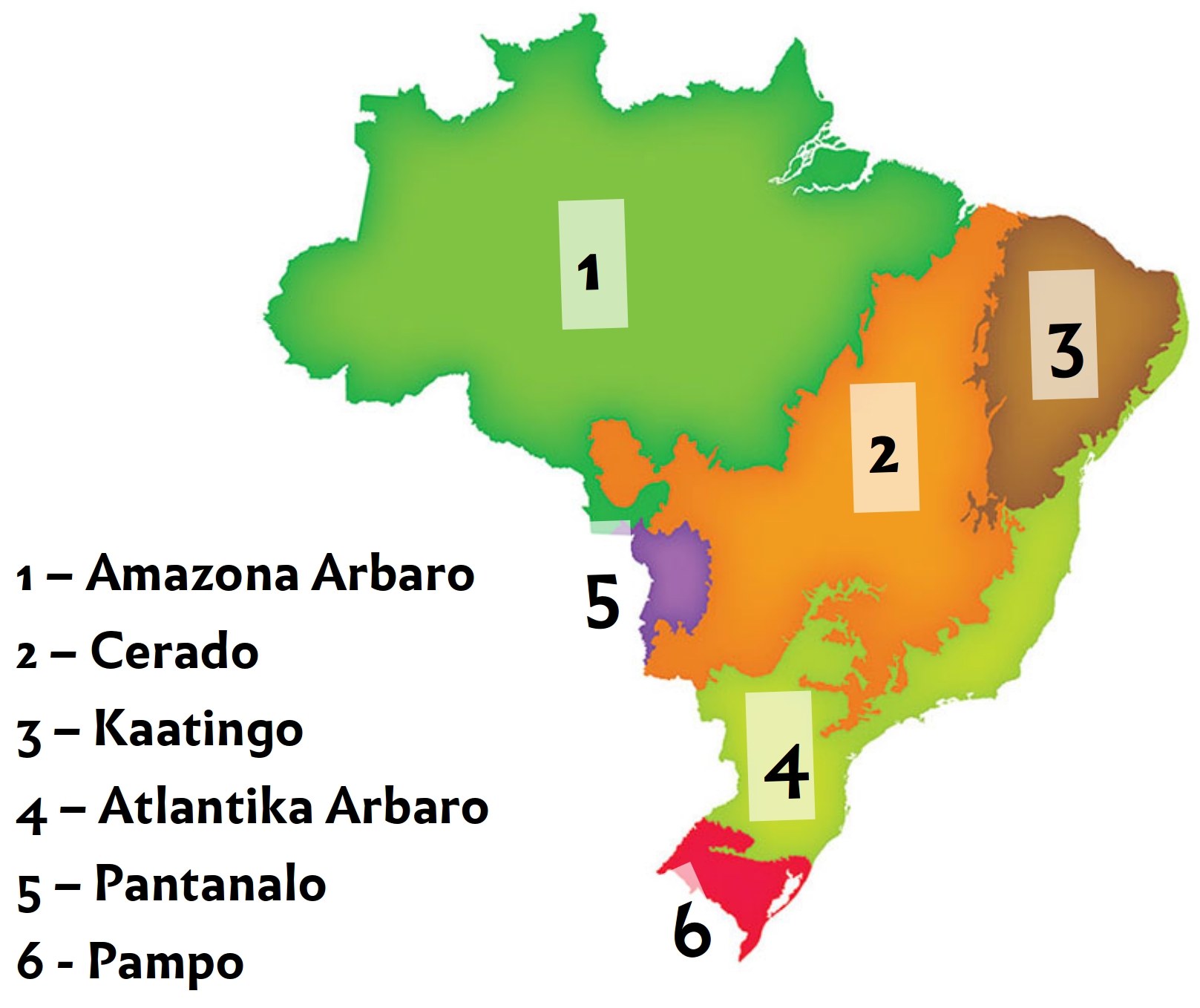 Eine Karte von Brasilien mit Provinzen in verschiedenen Farben hervorgehoben, die die Amazonas-Region auf der linken Seite zeigt.