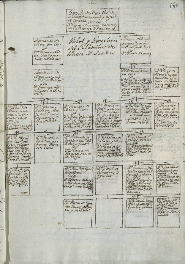 Offenes Buch mit einer handgezeichneten Familienbaum-Diagramm auf seinen Seiten, umgeben von dichtem Text und numerischen Einträgen.