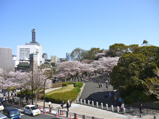 Eine Vogelperspektive einer Straße mit fahrenden Autos, einem Gehweg mit Fußgängern, Absperrgittern, Verkehrssignalmasten, Hecken, Bäumen, Gebäuden und einem Himmel im Hintergrund.