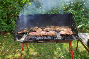 Grill mit Fleisch darauf auf dem Rasen, umgeben von Bäumen, mit einem Tisch und einer Schüssel auf der rechten Seite.