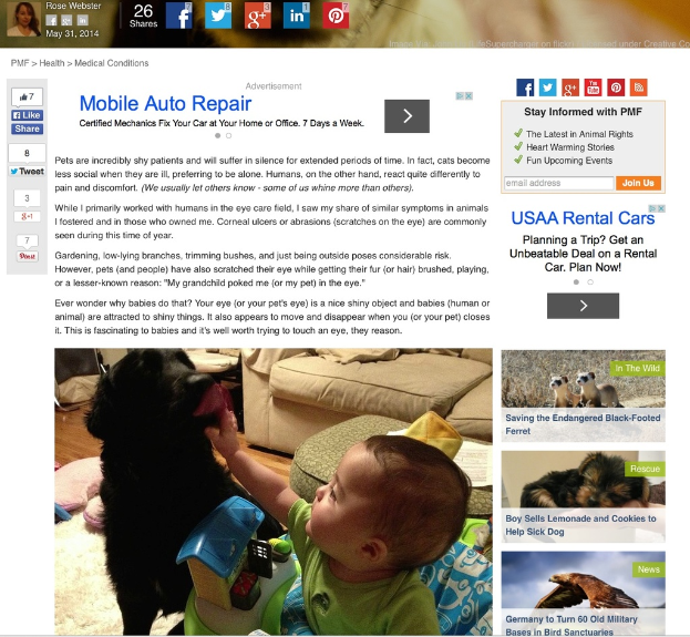 Eine Webseite mit einem Kind, einem Spielzeug, verschiedenen Tieren einschließlich eines Vogels, einer Frau, einem Sofa auf dem Boden, Symbolen und etwas Text.