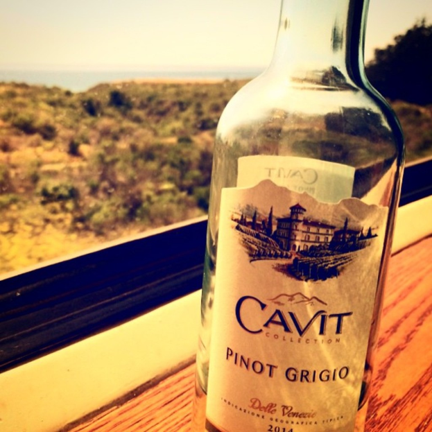 Eine Glasflasche mit der Aufschrift "Cavit Collection" steht vor einem Wald im Hintergrund.