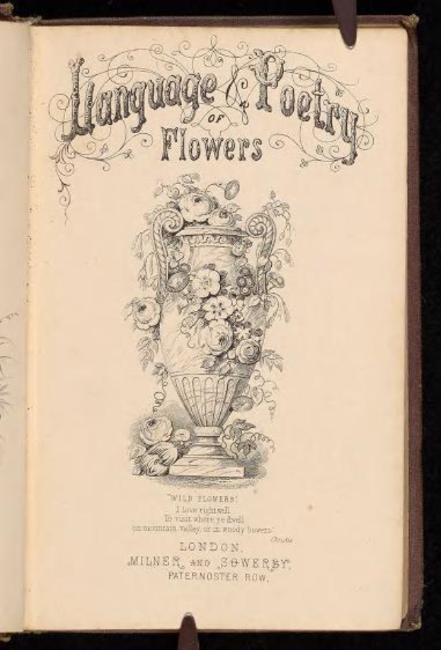 Offenes Buch mit dem Titel "Sprache und Dichtung der Blumen" (1867) von Milner und Sowerby, mit einer Zeichnung eines mit Blumen gefüllten Vasen auf dunklem Hintergrund.