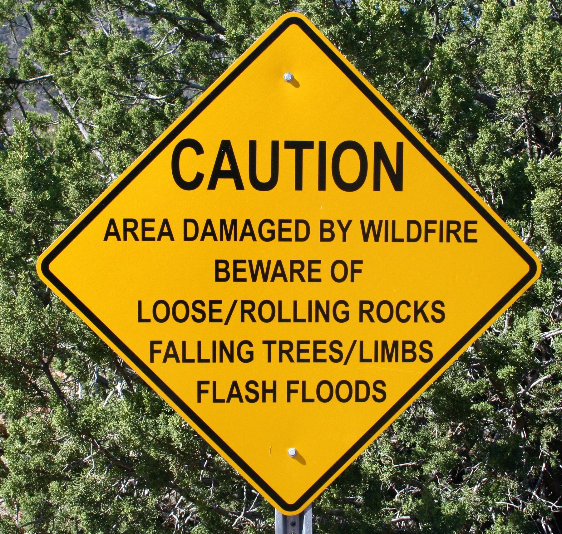 Gelbes Warnschild an einem Pfahl mit Text, der vor Wildbrandschäden, lockeren Steinen, umstürzenden Bäumen und Überschwemmungen warnt, vor einem Wald im Hintergrund.