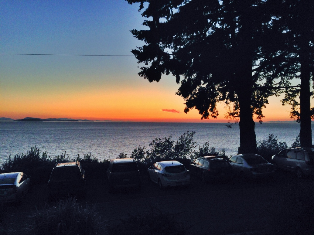 Eine friedliche KüstenSzene mit zwei Bäumen und etwas Grün im Vordergrund und einer Reihe geparkter Autos im Hintergrund.