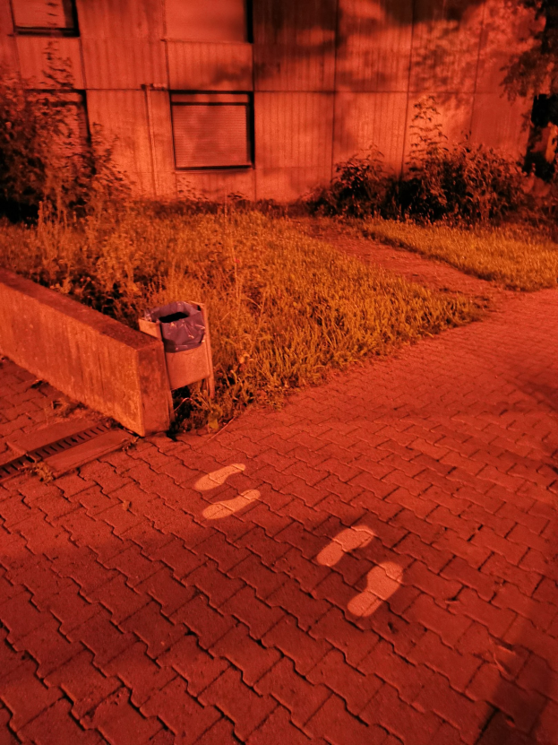 Ziegelweg mit einem Müllcontainer an der Seite, umgeben von Gras und Pflanzen, und einem Gebäude mit Fenstern im Hintergrund.