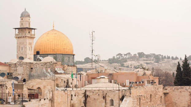 Mehrere Backsteingebäude mit Schüssenantennen und Klimaanlagen vor einem Hintergrund aus Bäumen und Himmel.
