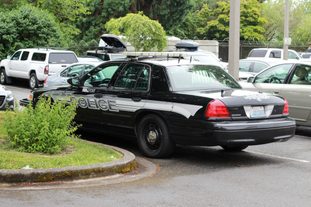 Ein Polizeiwagen auf einem Parkplatz mit anderen Fahrzeugen umgeben von Grün und einem Maschendrahtzaun unter einem klaren blauen Himmel.