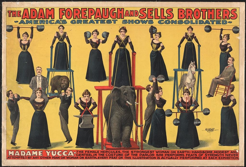 Plakat für Adam Forepaugh und Sells Brothers' America's Greatest Shows Consolidated mit einer Gruppe von Menschen auf Hockern und einem Elefanten in der Mitte und Text.