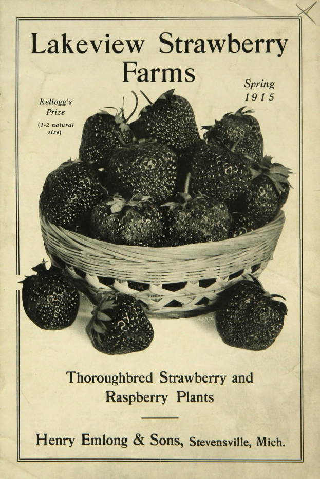 Plakat aus dem Frühling 1915, das Lakeview Erdbeerfarmen bewirbt und einen Korb reifer roter Erdbeeren zeigt mit der Aufschrift "Zuchtstamm Erdbeeren und Himbeeren" darüber.