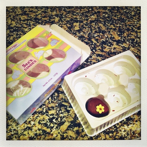 Ein Kasten mit Tierbildern und Text neben einer Schale mit Essen, beide auf einem steinernen Podest.